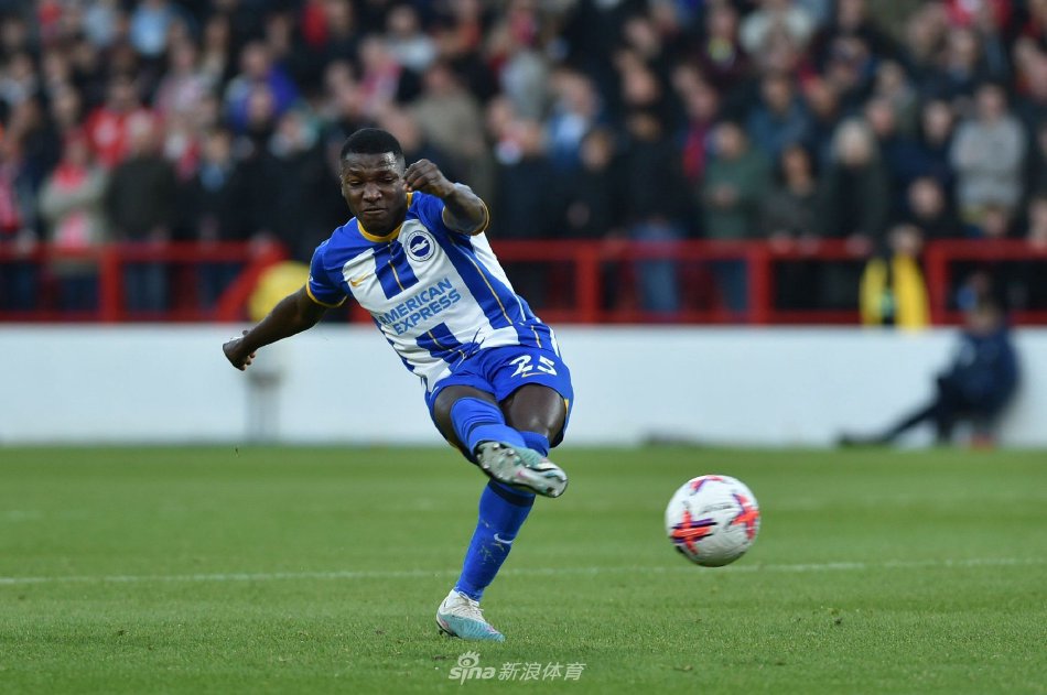 织与推进任 织与推进任