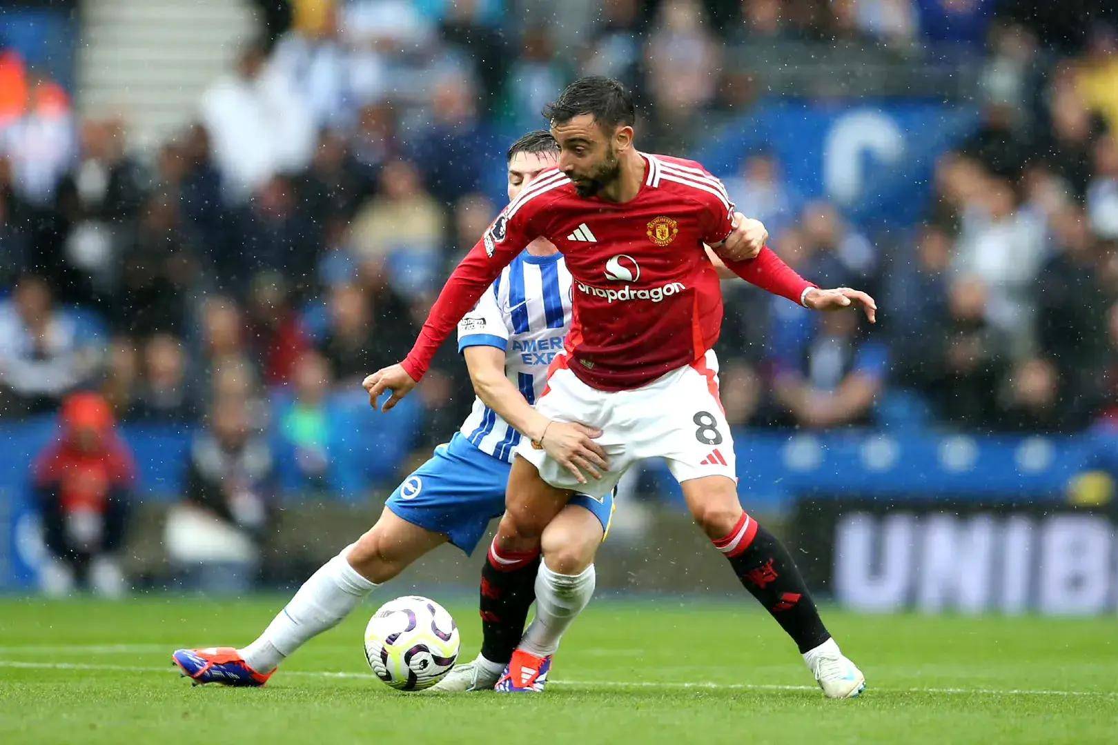 米尼克斯在 米尼克斯在