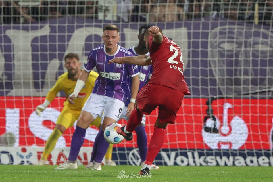 团体协作的 团体协作的